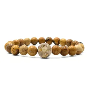 Delaware Stones   Picture Jasper