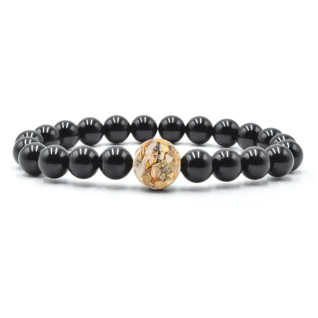 Florida Shells   Black Agate