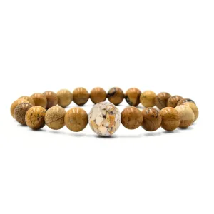 Florida Shells   Picture Jasper