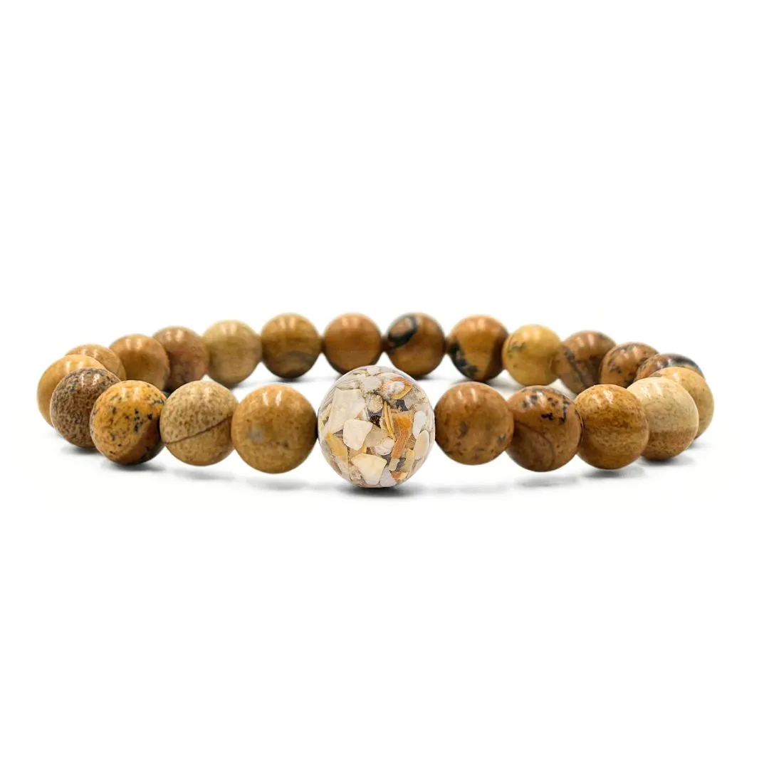 Florida Shells   Picture Jasper