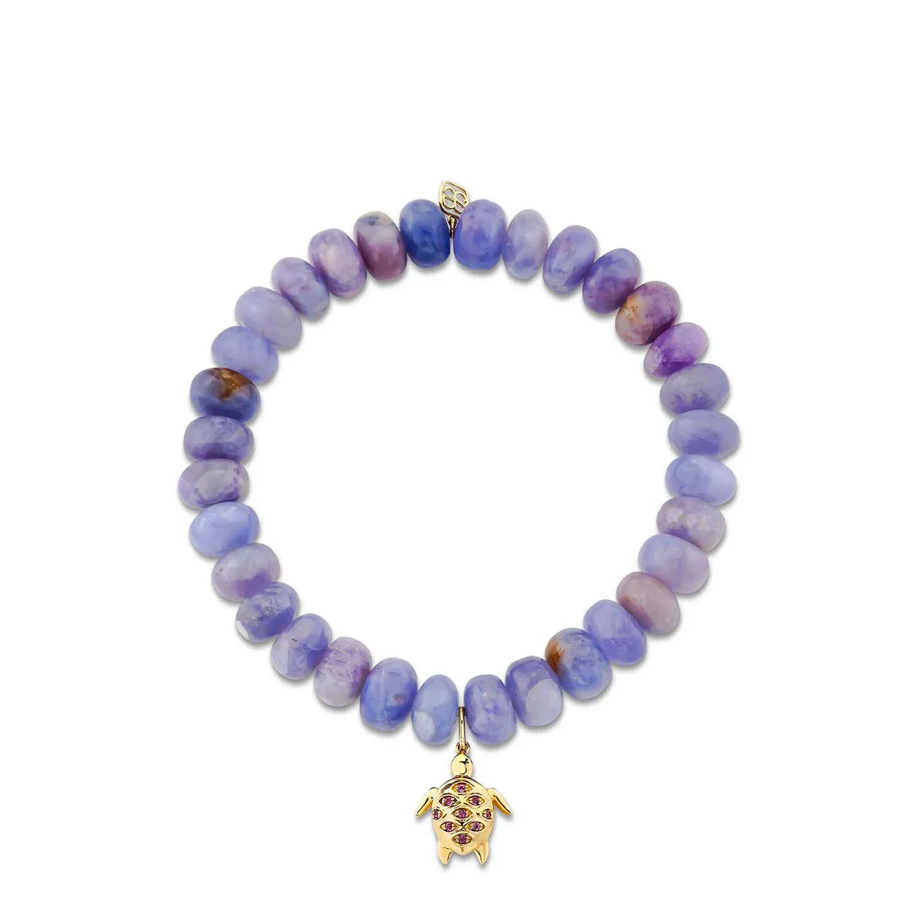 Gold & Amethyst Turtle on Hackmanite