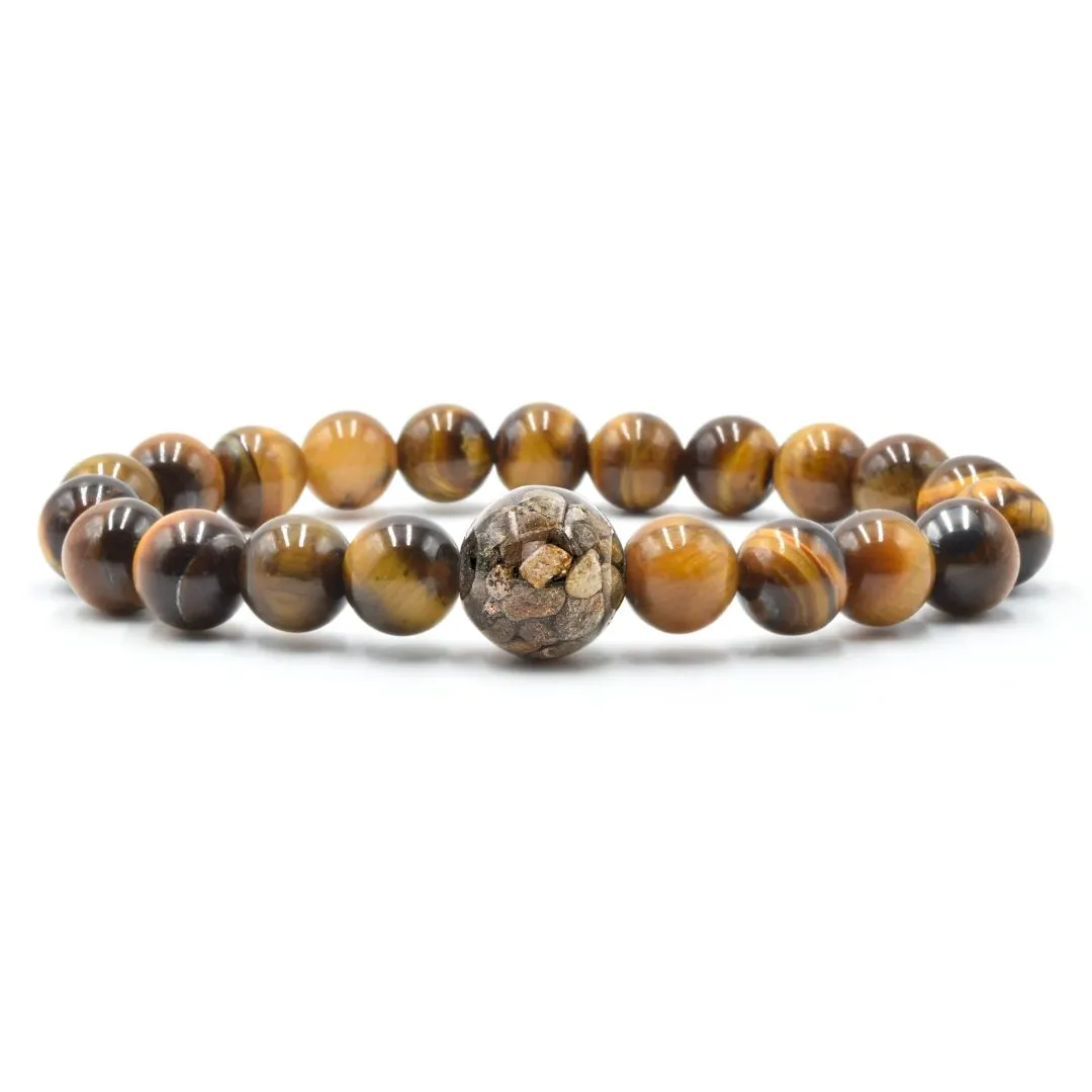 Lake Ontario Stones   Tiger's Eye