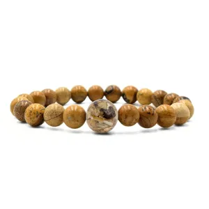 Maryland Stones & Shells   Picture Jasper