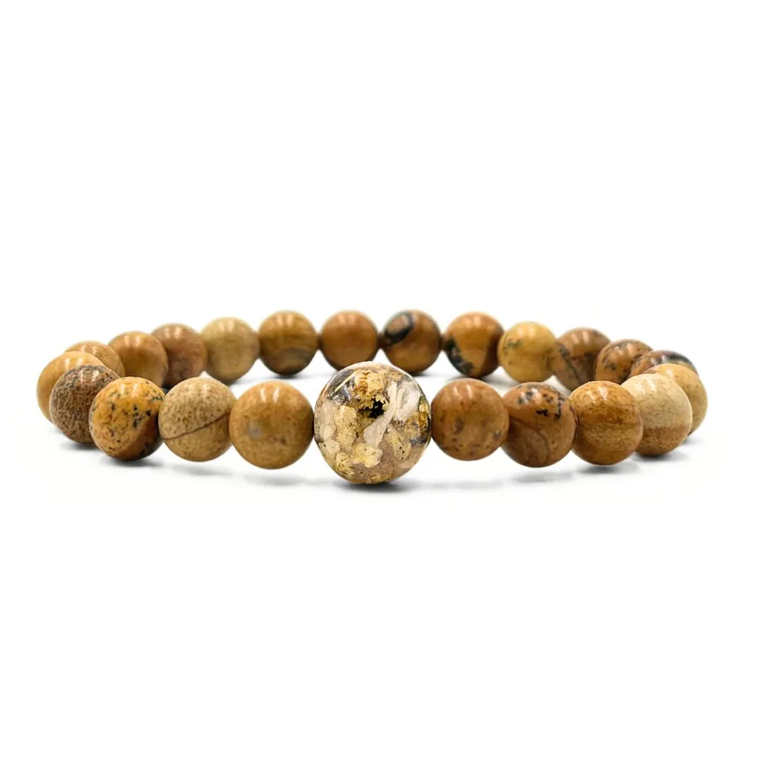 Nebraska Stones   Picture Jasper