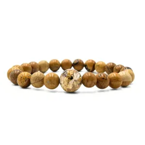 Nebraska Stones   Picture Jasper