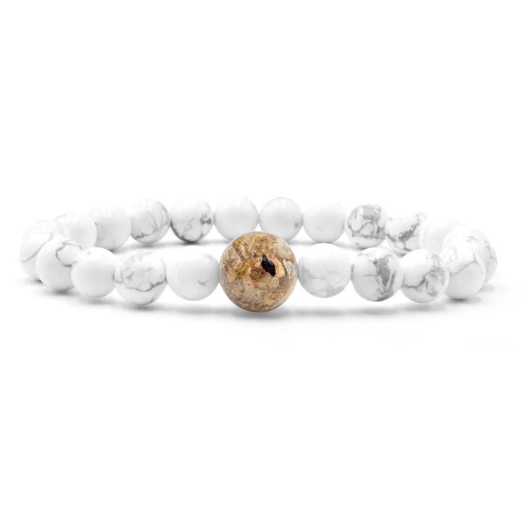 New Jersey Stones   White Howlite