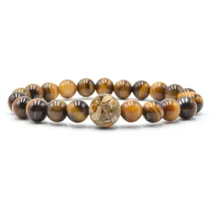 North Carolina Stones & Shells   Tiger's Eye