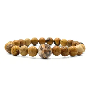 Ohio Stones   Picture Jasper