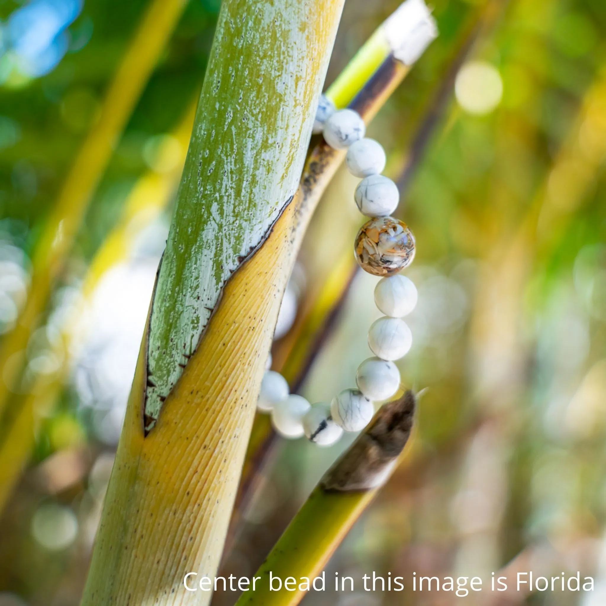 Ohio Stones   White Howlite