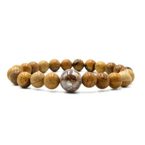 Pennsylvania Stones   Picture Jasper