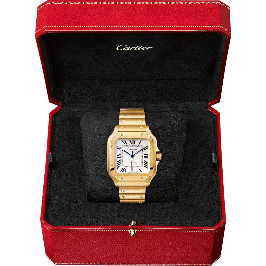 Santos de Cartier watch WGSA0030