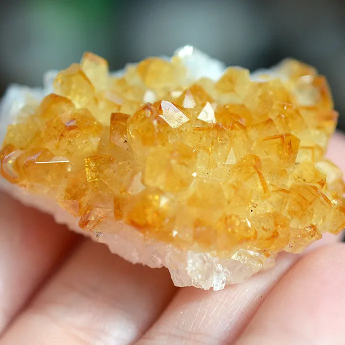 Select Gemstones: Pick Your Stone   Set In-Person With Cat