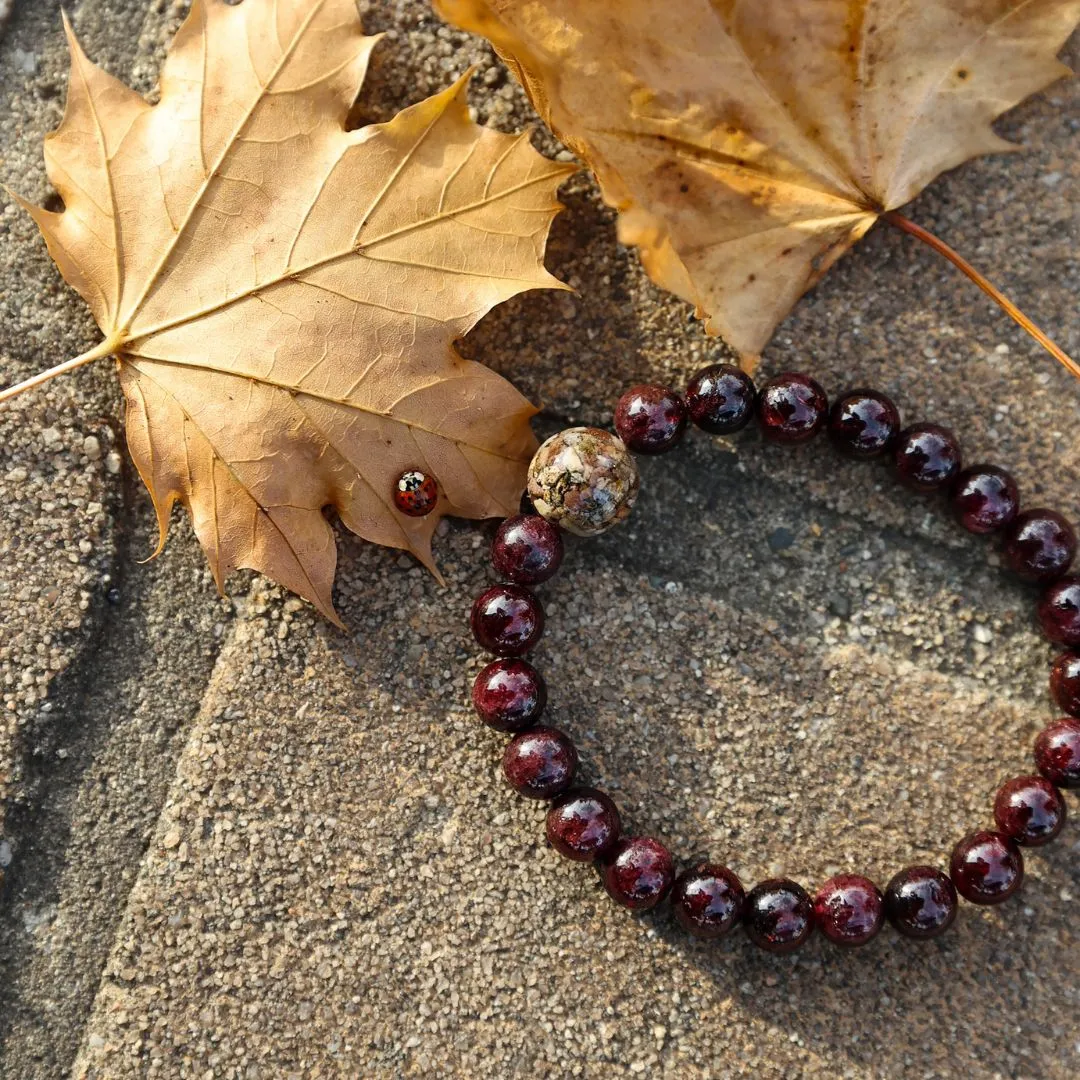 South Carolina Stones   Garnet